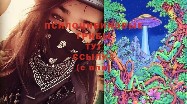 spice Баксан