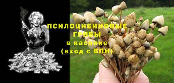 spice Баксан